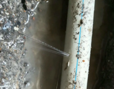 双鸭山市测漏水哪家好