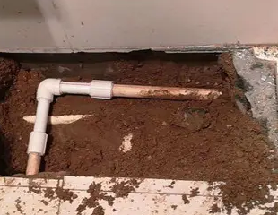 双鸭山市测漏水哪家好