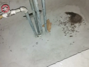 双鸭山市卫生间测漏水价格明细