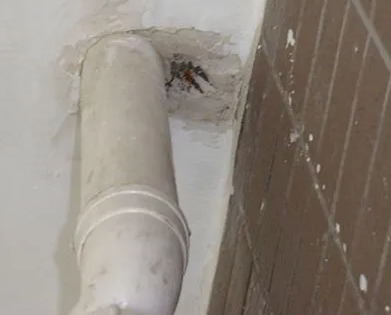 双鸭山市漏水检测哪家好